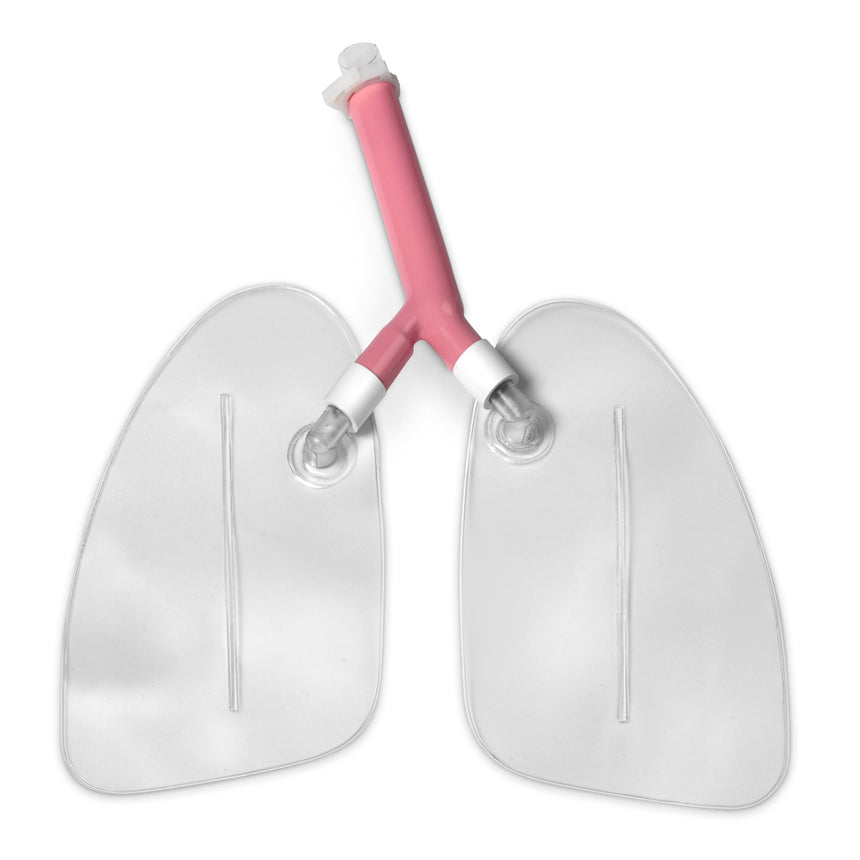 Replacement Lungs for Life/form® "Airway Larry" Airway Management Trainer Manikins