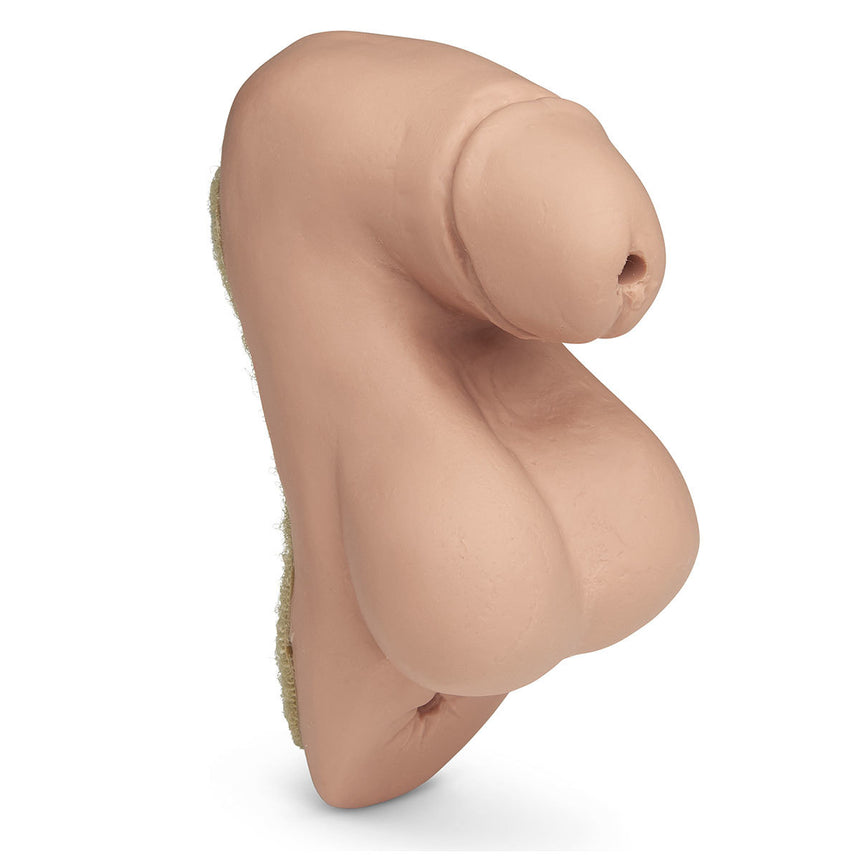 Replacement Patient Care Male Genitalia