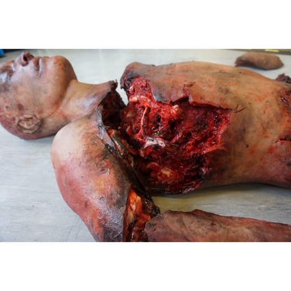 Safeguard Medical- SimBODIES Lifeless Blasted-Medtech- 2