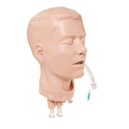 STAT Simulator Adult Deluxe Airway Management Head. 101-306