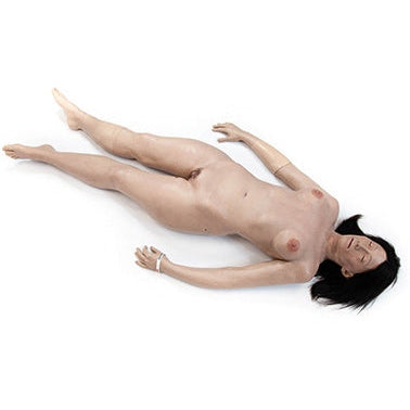 SimBODIES Standard Adult Manikin