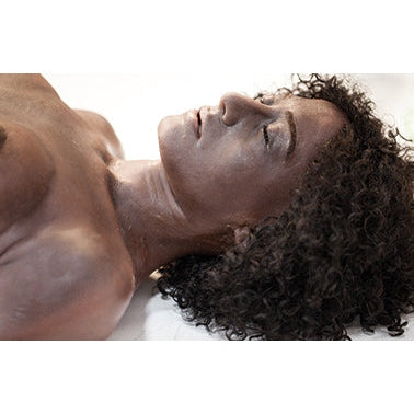 SimBODIES Standard Adult Manikin