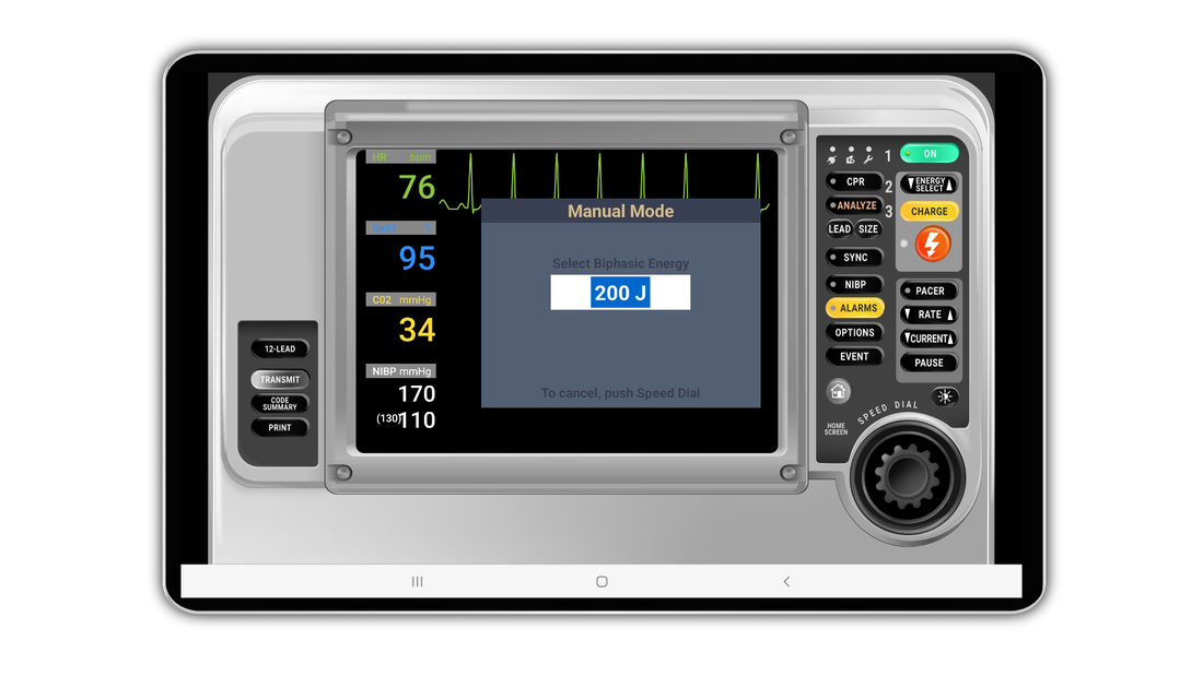 SimVS Critical Care Complete