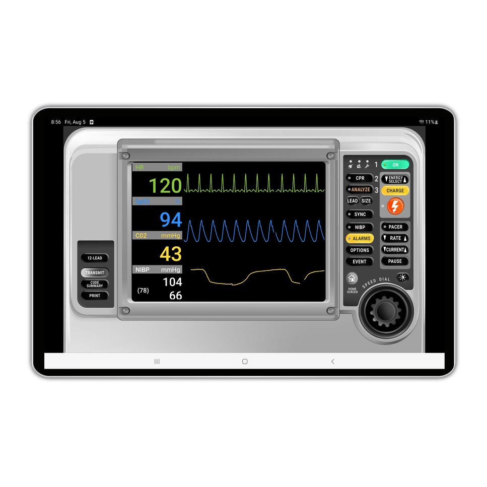 SimVS Hospital OB