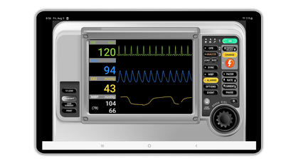 SimVS Hospital OB