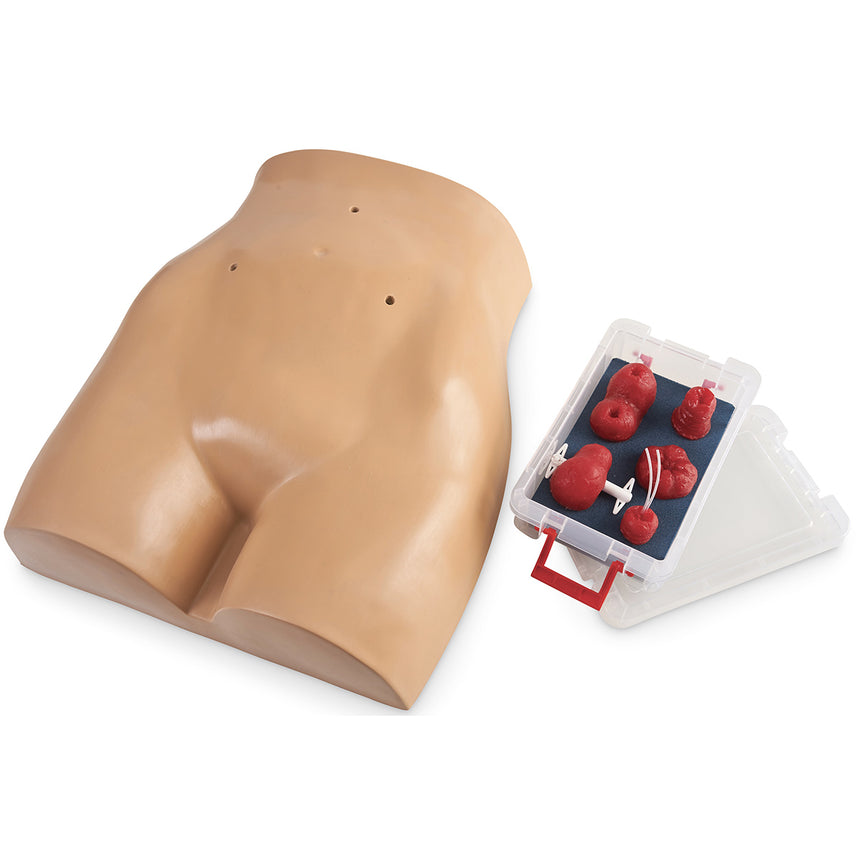 Stoma Care Torso