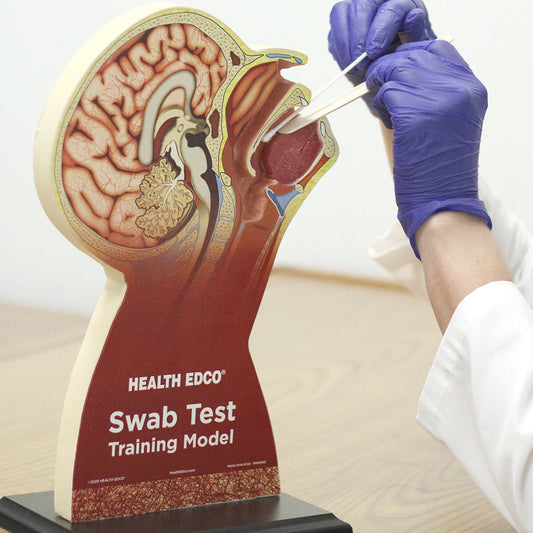 Swab Test Training Model