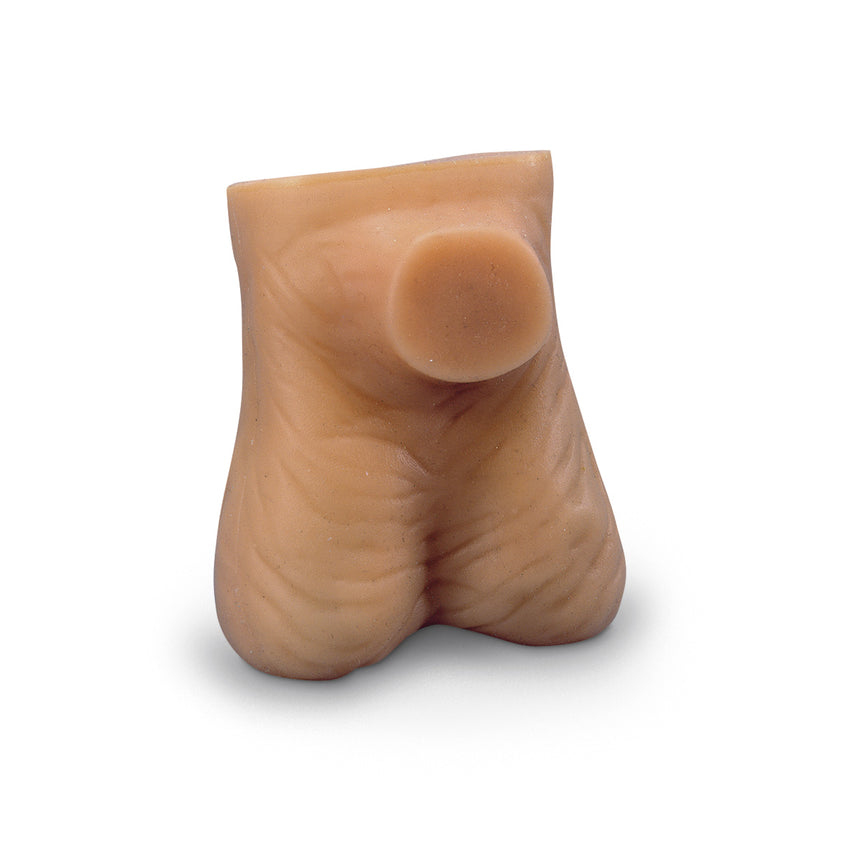 Testicle Model