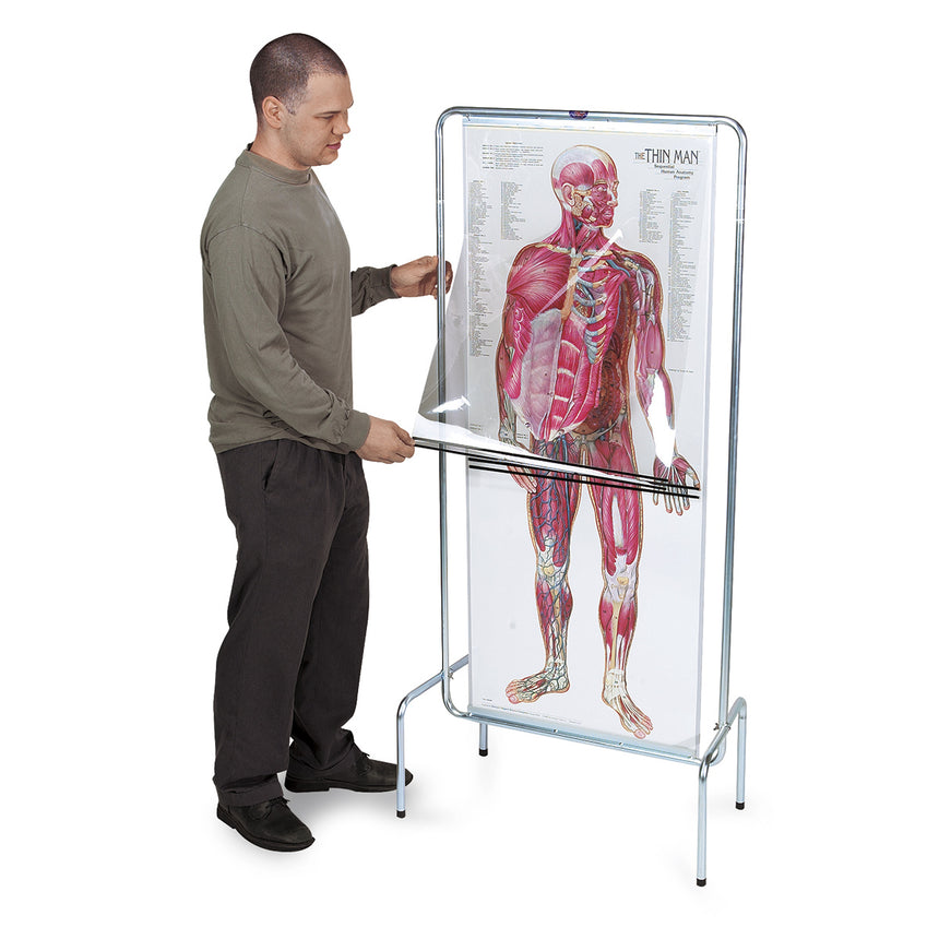 The Thin Man: Sequential Human Anatomy Program – MedTech