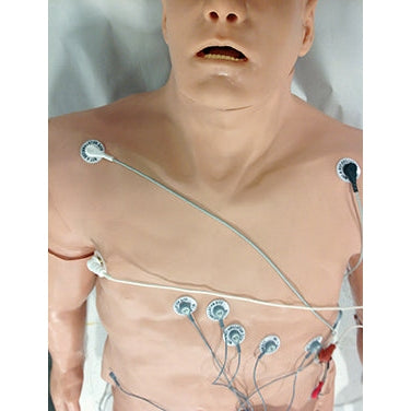 Zoll 12-Lead Arrhythmia Simulator with Manikin Overlay large